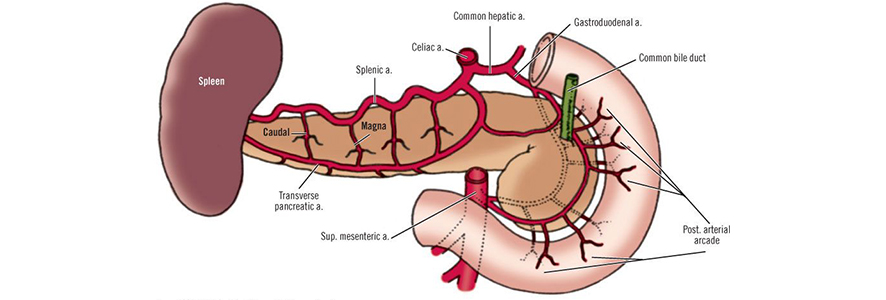 and pancreatitis sex Anal